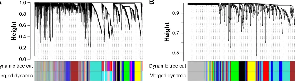 Figure 1 Flowchart of the study.