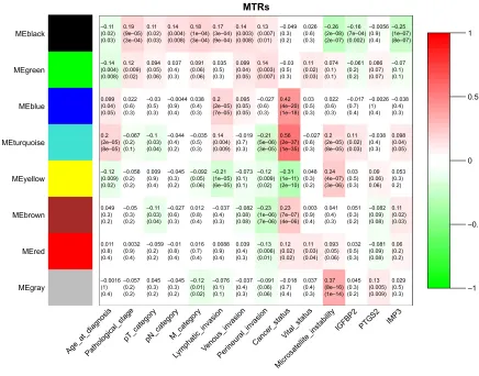 Figure 4 mirna module–trait associations.Notes: each row corresponds to an Me, and each column corresponds to a clinical parameter