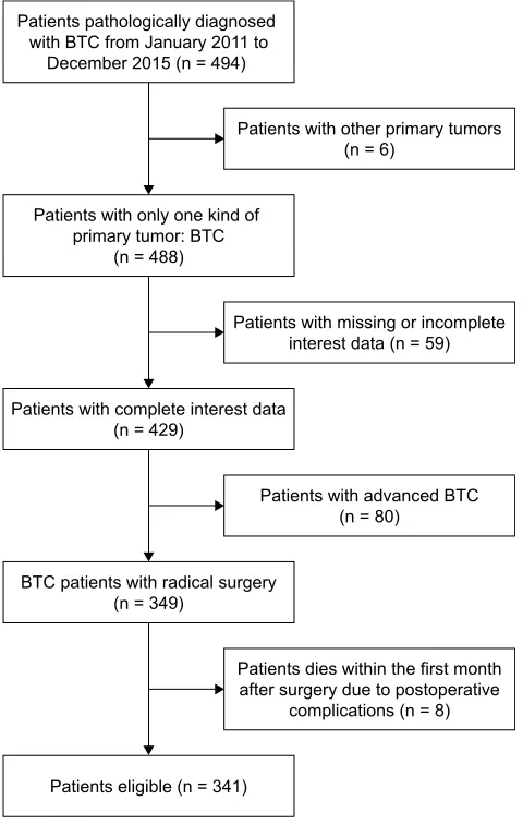 Figure 1 Flowchart on patient selection.Abbreviation: BTc, biliary tract cancer.