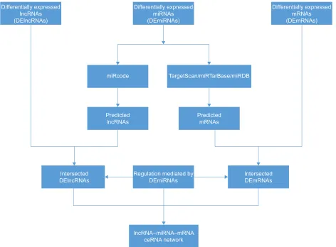 Figure 1 Flowchart of the lncrna–mirna–mrna cerna network analysis.