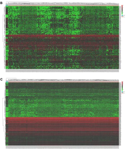 Figure 2 heatmaps based on the differentially expressed rnas in crc and normal tissues.Notes: (A) The heatmap with top 100 upregulated and top 100 downregulated mrnas