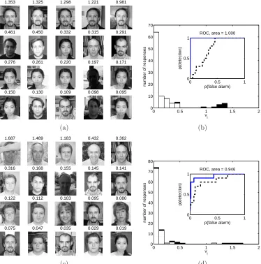Figure 5.3: Responses of two selective units (out of 15) after the unsupervised categorylearning