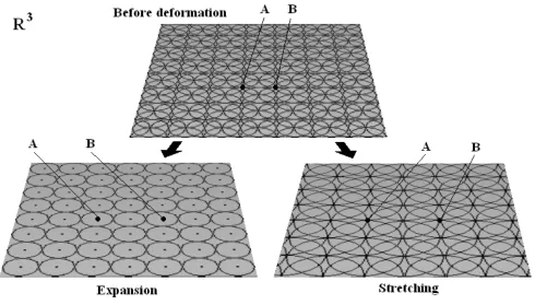 FIGURE 3.  Expansion and stretching of a two-dimensional plane. 