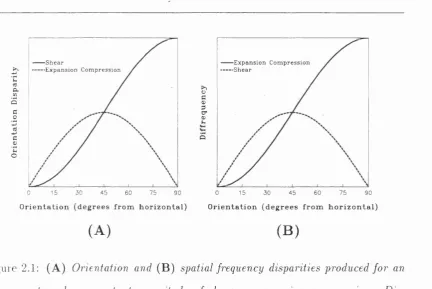 Figure 2.1: (A) Orientation and (B) spatial frequency disparities produced for an 