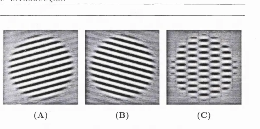 Figure 2.2: (A) and (B) Examples of the sinusoidal gratings used. (C) An example 