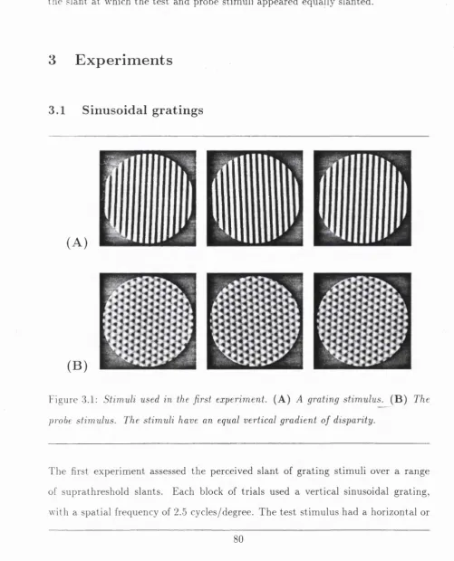Figure 3.1; Stimuli used in the first experiment. (A) A grating stimulus. (B ) The 
