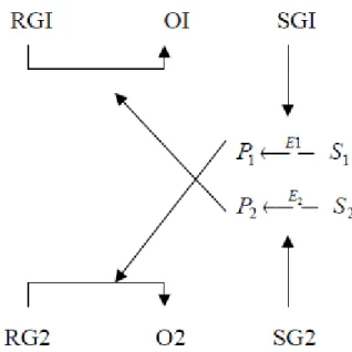 Figure 1 (a).  Two-operon switch model 