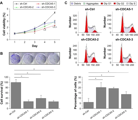 Figure 4 cDca5 knockdown reduces viability and survival and induces cell cycle arrest of hcc cells