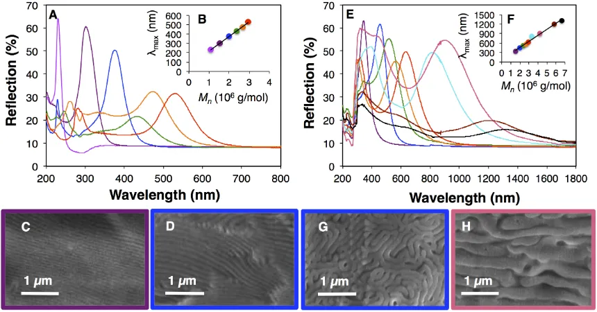 Figure 2.5: (a) Reﬂectance is plotted as a function of wavelength for the ﬁlms preparedfrom the controlled evaporation from THF for several diﬀerent MW polymers