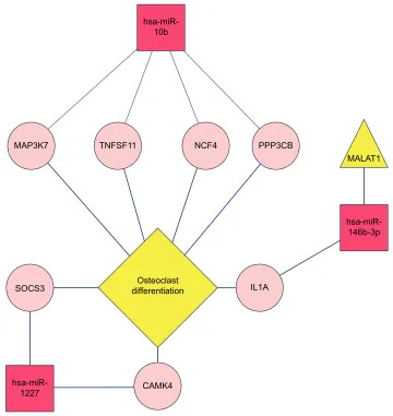 Figure 11 A regulatory network of lncRNA–miRNA–target gene pathway significantly related to osteosarcoma.