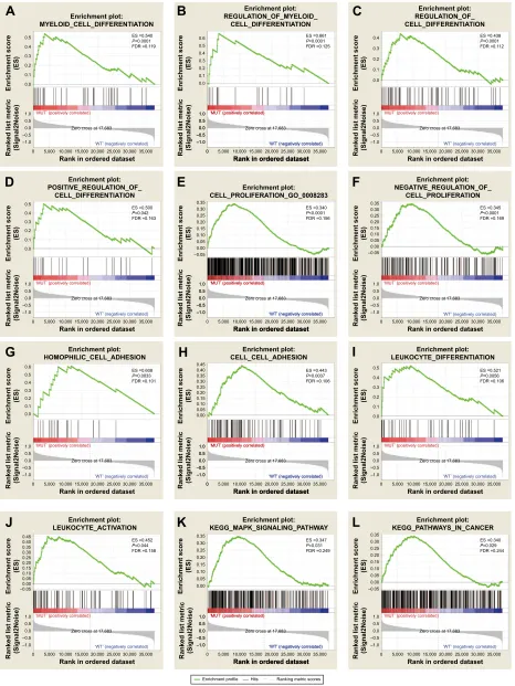 Figure 1 GSEA results of TP53 mutations in aMl patients.Note: Results are shown for c5 (A–J) and c2 (K, L) reference gene sets.Abbreviations: GSEA, gene set enrichment analysis; AML, acute myeloid leukemia; FDR, false discovery rate; GO, gene ontology; KEGG, Kyoto Encyclopedia of Genes and genomes.