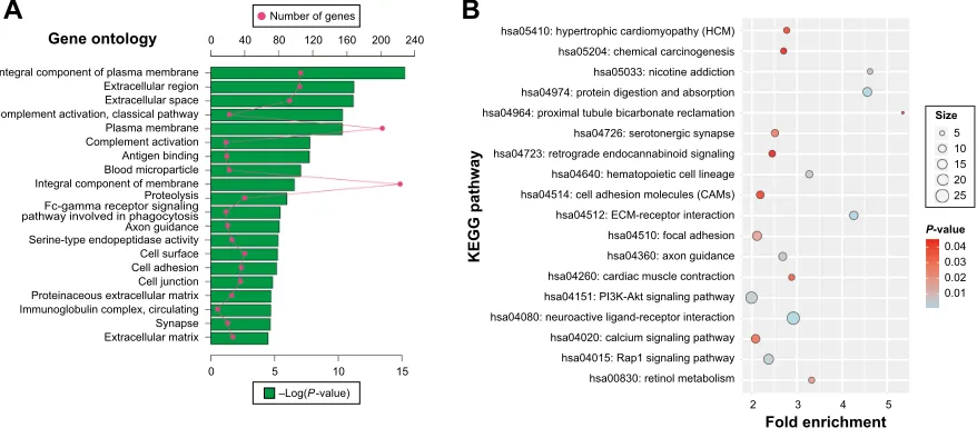 Figure 4 DAVID enrichment results of upregulated differentially expressed genes.Notes: (A) The top 20 GO enrichment terms of upregulated differentially expressed genes
