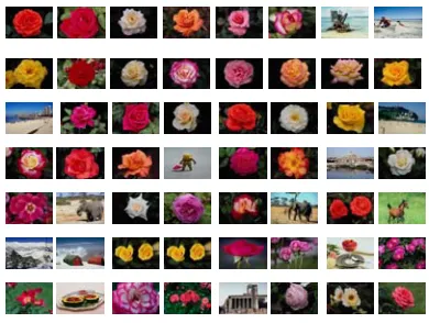Fig. 4 Sample Flowers Clusters using BTC 