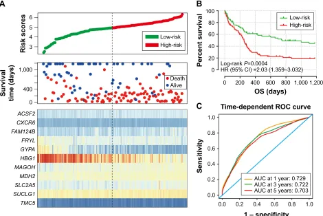 Figure 5 Prognostic gene signature of the 11 genes in AML patients of the GSE12417 HG-U133A cohort.Notes: (A) From top to bottom is the risk score, patients’ survival status distribution, and expression heat map of the 11 genes for low- and high-risk group