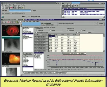 Figure 5. Electronic Medical Record 