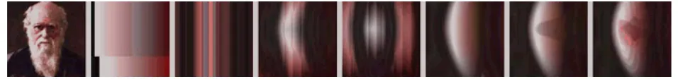 Fig. 4 Source Darwin portrait, part of the fitness function, followed by an evolved progression of portraits of best resemblance  