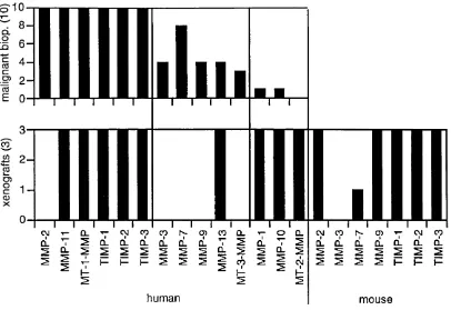 Fig. 2.7 MMP/TIMP expression in malignant tissue biopsies and xenograft models of human 