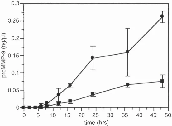 Fig. 4.8 Time course of MMP-9 production in unstimulated and CM stimulated THP-1 cells 