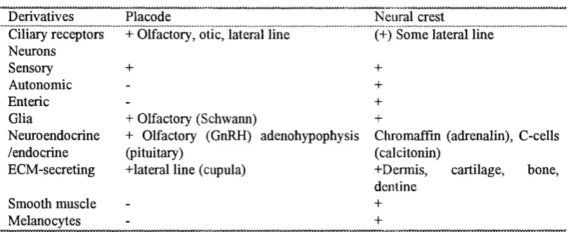 Table 1-2 Derivatives of neural crest and placodes, cateaorized by cell type
