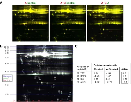 Figure S1 Proteome profiling indicating alterations in the expression levels of human proteins evoked by the consumption of aspirin alone or combined with caffeine at clinically attainable doses.