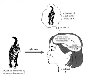 Figure 1. A dualist model of perception