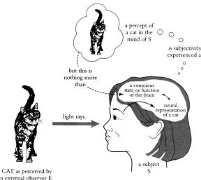 Figure 2. A reductionist model of perception