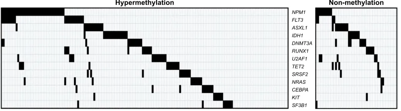 Figure 2 spectrum of gene mutations in 226 non-M3 aMl patients with hypermethylation and non-methylation of the RASSF1A gene.