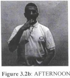 Figure 3.2b: AFTERNOON