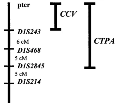 Figure 1.3 The lp36 locus.