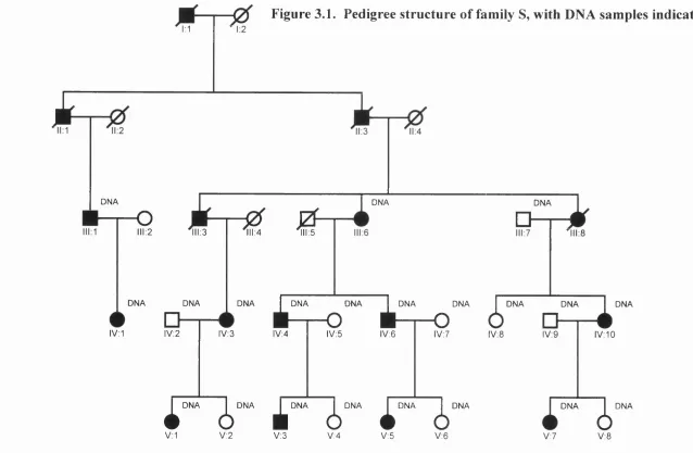 Figure 3.1. Pedigree structure of family S, with DNA samples indicated.