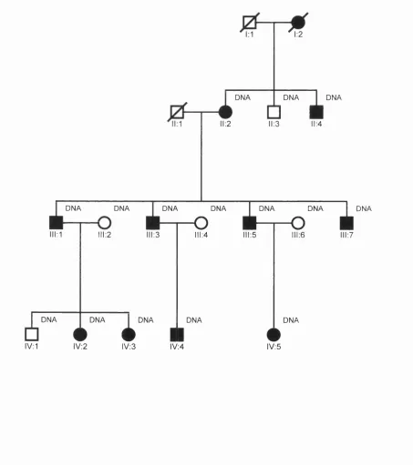 Figure 3.9 Pedigree structure of the CCT family, with DNA samples indicated