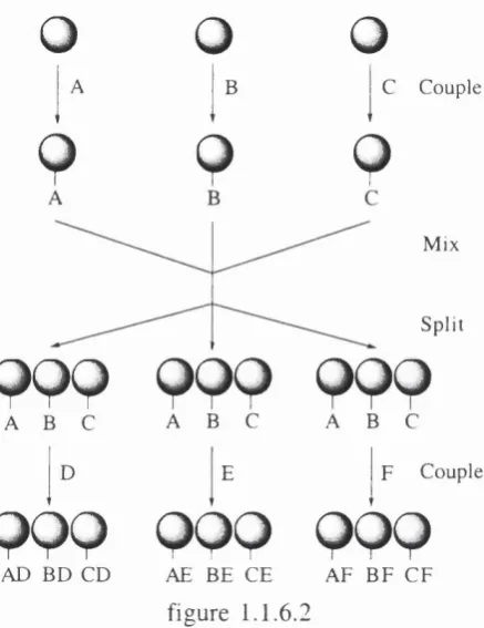 figure 1.1.6.2