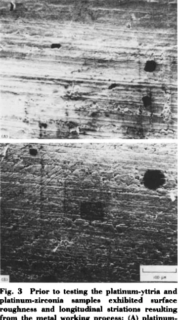 Fig. 3 Prior to testing the platinum-yttria and platinum-zirconia samples exhibited surface 