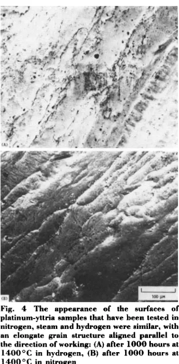 Fig. 4 The appearance of the surfaces of platinum-yttria samples that have been tested in 
