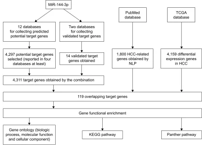 Figure 6 The funnel plot of the meta-analysis of miR-144-3p expression in HCC.Notes: (A) The funnel plot for the meta-analysis of all available data