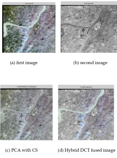 Fig. 2: Fused images of leaf with their fusion techniques 
