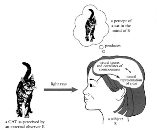 Figure 1. A dualist model of perception