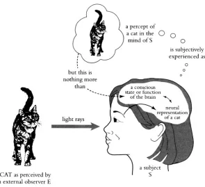 Figure 2. A reductionist model of perception