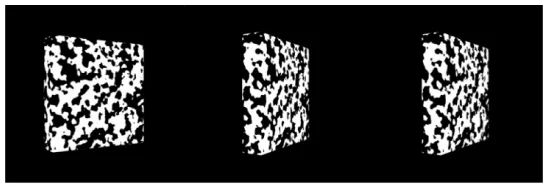 Fig. 3. A planar surface slanted at 30°, 60°, and 80° in depth. (From Fleming 2004 by kind permission of the author.) 