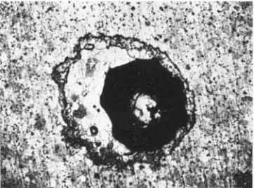 Fig. 6 surface after the retraction the irregular and asymetric shape Characteristic appearance of the dewetted of a glass bead, showing of the bead and the surrounding ring of debris ( x  20) 