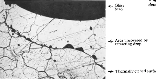Fig. 9 dewetted platinum surface Detailed topography of a ( x 150) 