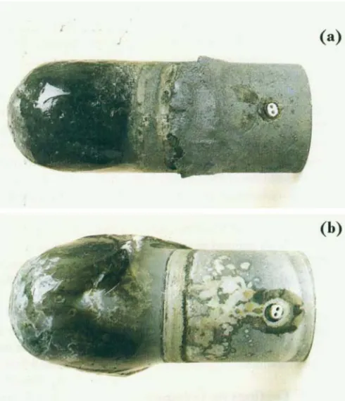 Fig 5 The working end of a platinum A.C.T.I" coated tri- 