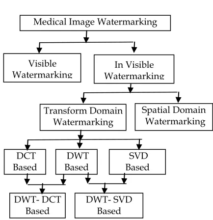 Figure 1  Classification of Medical Image Watermarking Techniques 