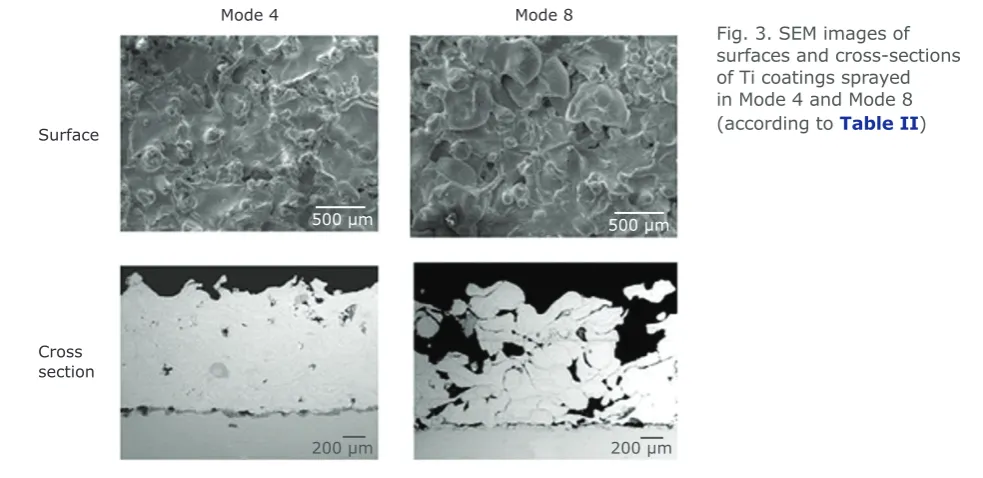 Fig. 3. SEM images of 