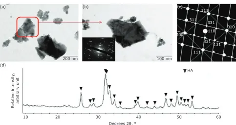 Fig. 4. (a, b) TEM images of the HA powder particles; (b, c) the corresponding indexed microelectron diffraction pattern; and (d) the XRD patterns of HA powder 