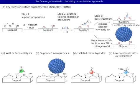 Fig. 1. Molecular processes investigated by the Copéret group reproduced with kind permission from Professor Copéret (12, 13)