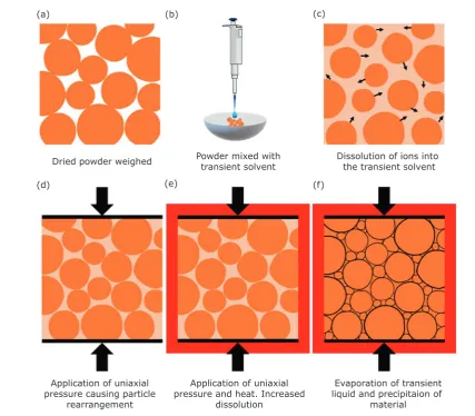 Fig. 2. Schematic illustrating the different stages of the cold sintering process