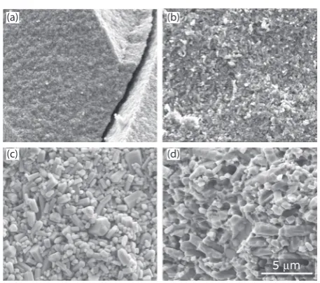 Fig. 3. Fracture surface SEM micrographs of cold sintered ZnO fabricated at The University of Sheffield at a range of temperatures and pressures: (a) 120°C and 250 MPa; (b) 200°C and 250 MPa; (c) 300°C and 250 MPa; (d) 300°C and 375 MPa