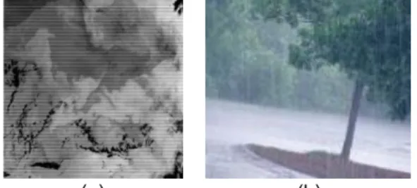 Fig. 2. (a) Remote sensing image with striping effect (b) Rain  Image 