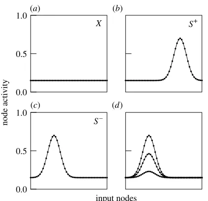 Figure 1. Examples of network input patterns used in thispaper. The network input nodes are considered as a one-pattern of activity of similar shape, but which peaks at adifferent position of the input array
